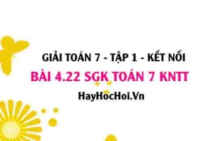 Bài 4.22 SGK Toán 7 tập 1 Kết nối tri thức